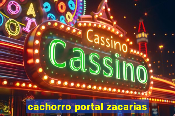 cachorro portal zacarias